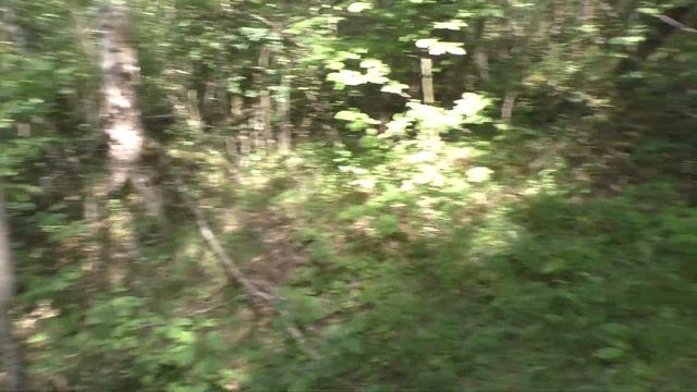 Сморгонский район. Лес-20 (Б) (Сутьково). Часть 1 смотреть онлайн