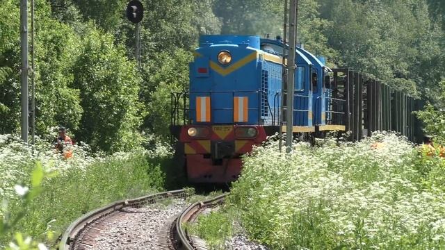 Тепловозы ТЭМ2-2757, ТЭМ2-9070 с грузовым составом + тепловоз ТЭМ2-1327 смотреть онлайн