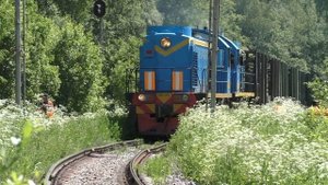 Тепловозы ТЭМ2-2757, ТЭМ2-9070 с грузовым составом + тепловоз ТЭМ2-1327