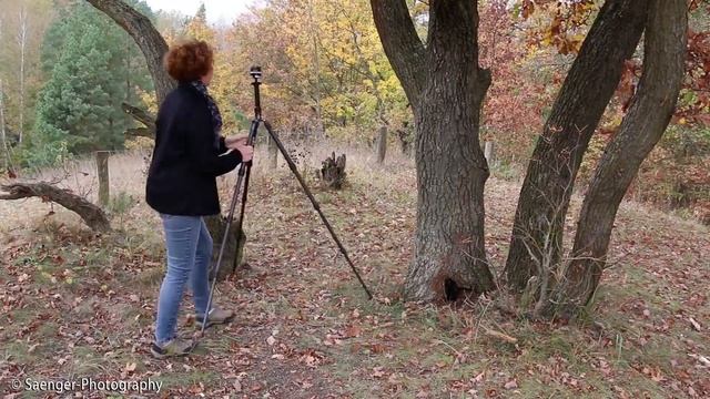 Canon EOS 6D Mark II vom Smartphone aus fernsteuern (Tutorial | Saenger-Photography | Deutsch) смотреть онлайн