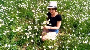 Привет,ромашки***