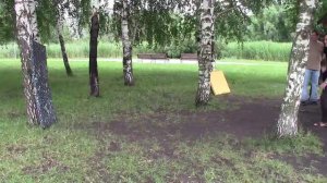 Meifu Shinkage Ryu Russia