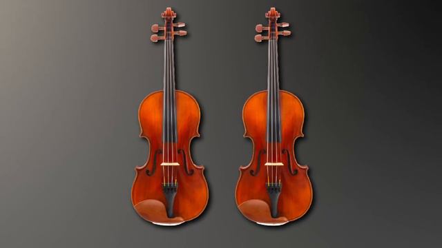 Violin For Professional : You Should Try at least Once! смотреть онлайн