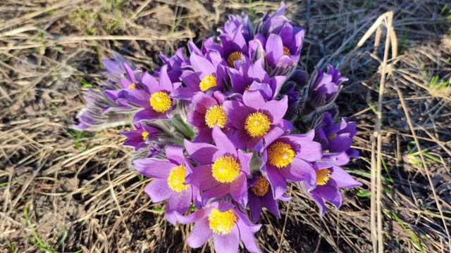 #ТАЙСКИЙСУП смотреть онлайн