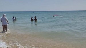 Дельфины. Пляж Благовещенская