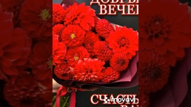 #Добрый#вечер??? смотреть онлайн