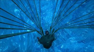 Артефакт Мудрости легко и просто Карта Центр Ark Survival Evolved