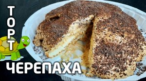 Торт Черепаха – рецепт со сметаной и варёной сгущёнкой. Любимый домашний бисквитный торт