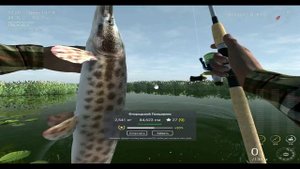 Fishing planet ловля на воблер (Флорида) v 0.3.5