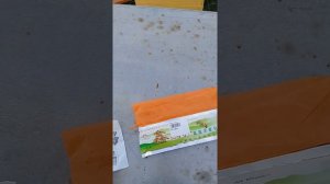 🔴Китайские пластины от клеща Варроа для пчел