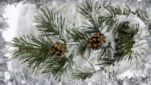 НАСТУПИЛА ЗИМА. ПОЗДРАВЛЕНИЕ С Началом Зимы