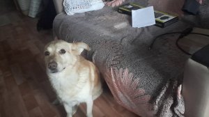 Компьютер для ретро гейминга Фронт Т-80.