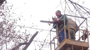 Астраханские коммунальщики ведут комплексную опиловку иловка деревьев на ул.Ахшарумова.