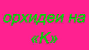 Орхидеи фаленопсис. Названия на букву «K»  Phalaenopsis Orchids. The names on the letter «K».mp4