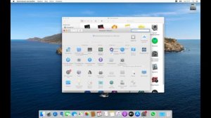 Как включить инверсию мыши в macOS / How to enable mouse inversion on macOS
