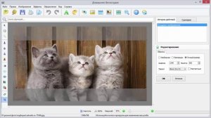 Как просто обрезать фото в фоторедакторе