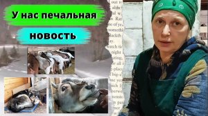 У НАС ПЕЧАЛЬНАЯ НОВОСТЬ