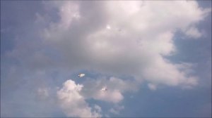 Разминка молодняка.mp4