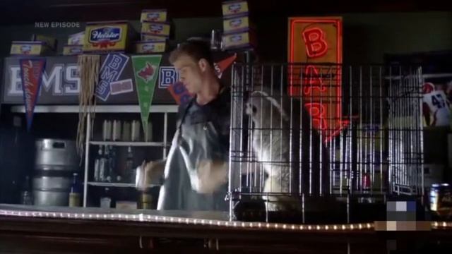 BEST OF THAD CASTLE | BLUE MOUNTAIN STATE | SEASON 2 смотреть онлайн