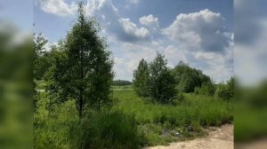 Стихи о Родине. С.Есенин