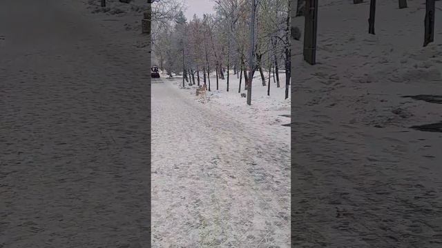 #зима #самара #позитив #ярусский #любимаяпесня