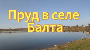 Красивый пруд с карпами. Село Участок Балта, Мошковский район. Новосибирская область.