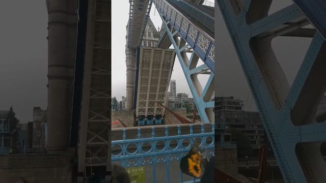 Развод Тауэр моста (Tower Bridge)
