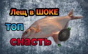 Уловистая зимняя оснастка на леща. Зимняя рыбалка 2022. Секреты рыбаков