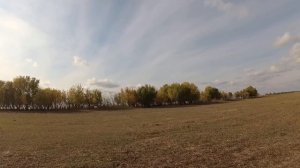 Поездка за грибами в Астраханской области - Замьяны.