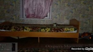 Прохождение пять ночей с ёжиком 6 ночь