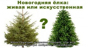 Какая елка лучше — искусственная или живая?