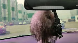 KIA Rio X-Line автозвук штатка плюс сабвуфер Урал 1900w)!!!