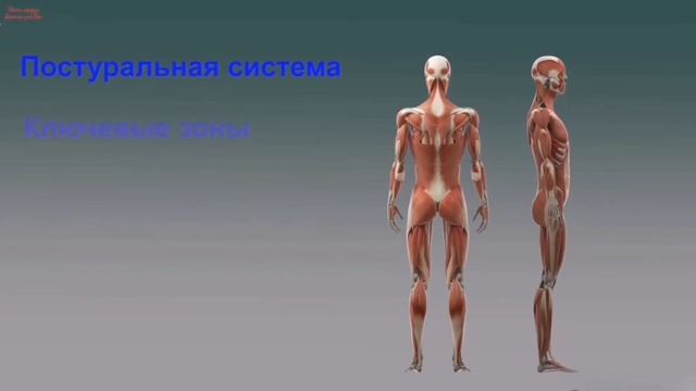 Атлант - первый шейный позвонок смотреть онлайн