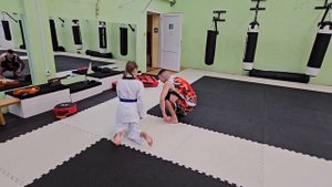 Постановка техники ударов в тхэквондо