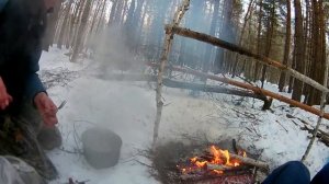 Постройка избушки в лесу. Делаю крышу!