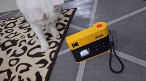 마음껏 찍고 출력해! 신제품 코닥 미니샷3 ERA 가성비포토프린터 폴라로이드카메라 KODAK MINI SHOT3 ERA
