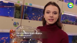 О #золотых#рыбках в программе "Культуризм" на телеканале МИР