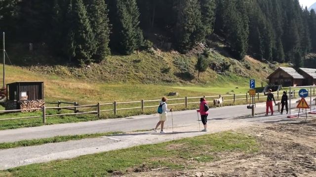 Долина Альп занятие скандинавской ходьбой утром смотреть онлайн