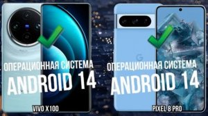 Vivo X100 против Google Pixel 8 Pro