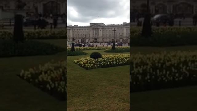 Buckingham Palace Flowers 4/2014