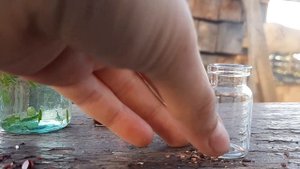 Делаем зелья из тик тока!?