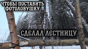 Сделал лестницу, чтобы поставить фотоловушку