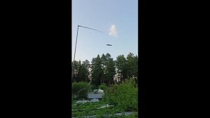 пугало от дроздов