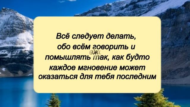Цитаты Марка Аврелия о жизни // Мудрые высказывания, афоризмы