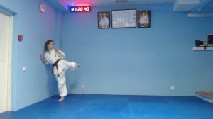 Карате Киокушинкай онлайн-тренировка. 9 кю