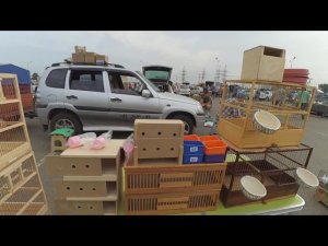 Птичий рынок г. Краснодар 5 июля 2021 г.