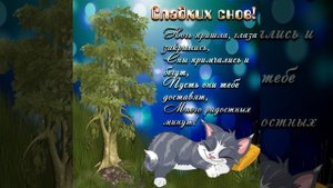 Спокойной ночи ? Приятных и нежных снов ???