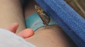🦋 Маленькая страна там 😉 где всегда весна🍀