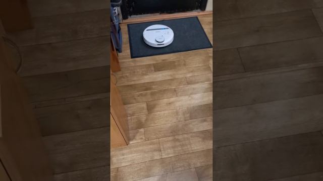 Робот - пылесос Ecovacs Deebot DE55.