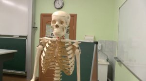 СТРАШНЫЕ ЗНАНИЯ / анекдот / смешное видео